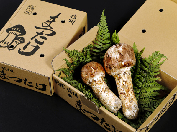 全国からのファンも多い！味も香りも格別な長野県・青木村の「松茸（まつたけ)」の魅力を紹介 – Web-Komachi