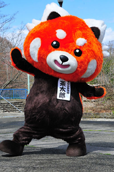森の中に広がる 長野市茶臼山動物園 人気のレッサーパンダの森 ライオン アルパカ クマも 長野市 Web Komachi